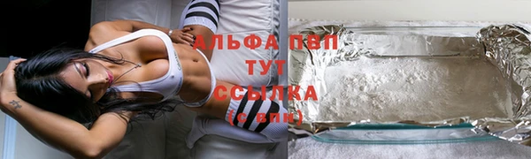 молекула духа Белоозёрский