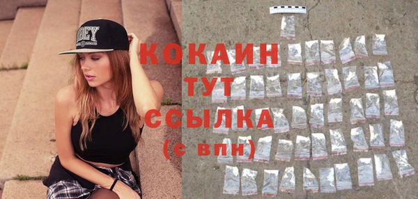 молекула духа Белоозёрский