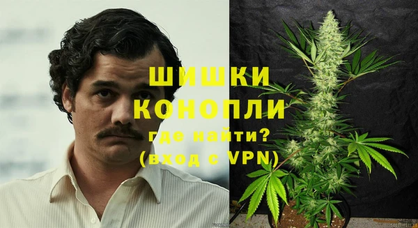 мдпв Бронницы