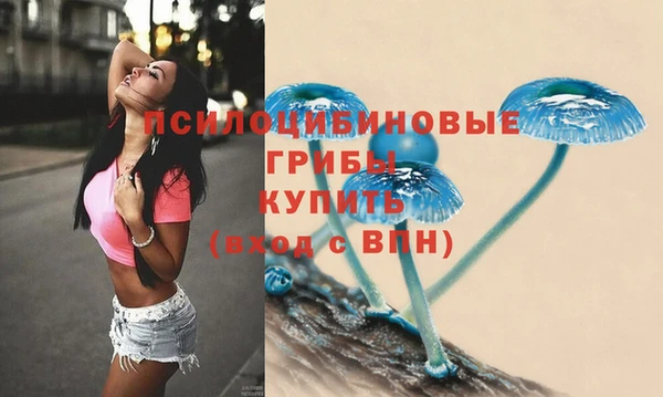 метамфетамин Богданович