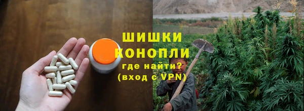 молекула духа Белоозёрский
