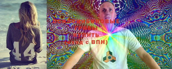 мдпв Бронницы