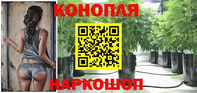 PSILOCYBIN Нальчик