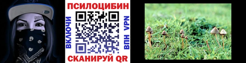 Псилоцибиновые грибы мицелий  где найти   OMG рабочий сайт  Гатчина 