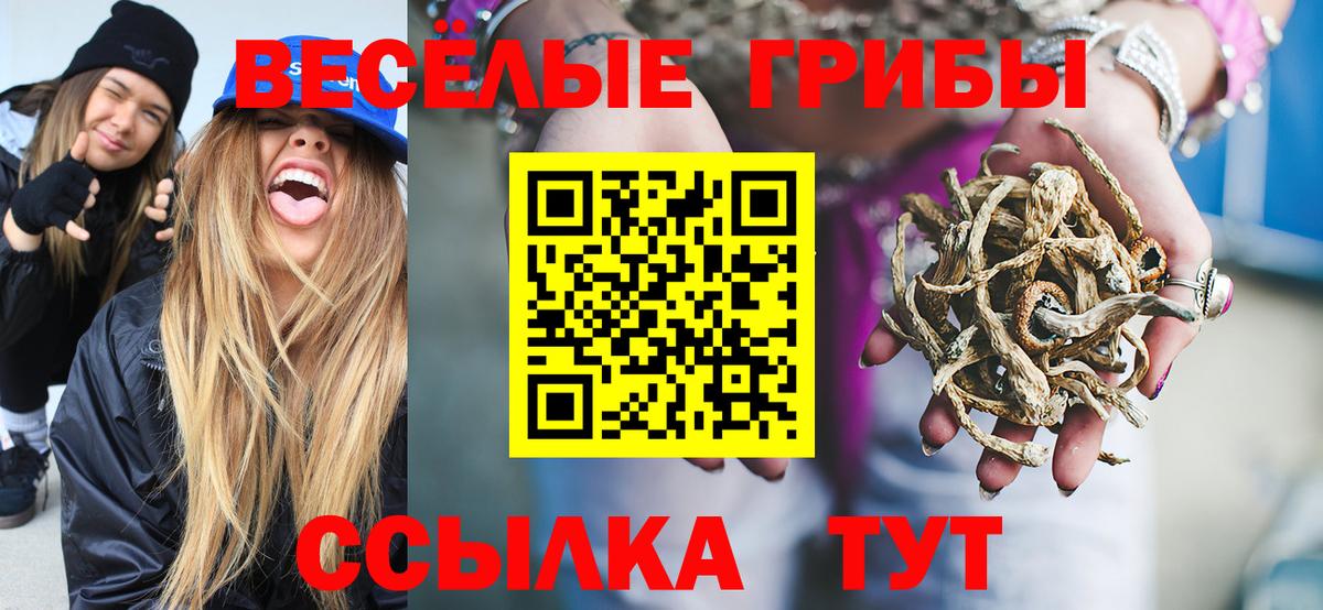 Псилоцибиновые грибы GOLDEN TEACHER  Вход с VPN  купить наркотик  Гатчина 