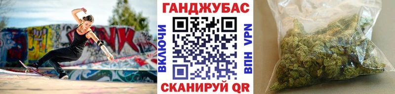 Конопля сатива Гатчина