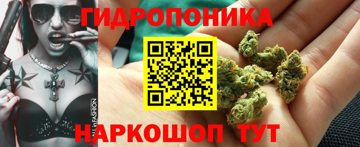 Конопля LSD WEED  Шишки марихуана планчик  Гатчина  Марихуана VHQ  Каннабис OG Kush  Вход с VPN 